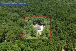 2868 E Loop 390, Marshall, TX 75672 - Photo 36