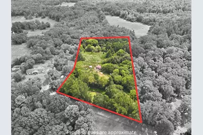 1624 County Road 4490, Winnsboro, TX 75494 - Photo 1