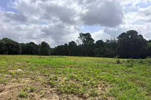 10268 N Fm 607, Brownsboro, TX 75756 - Photo 1