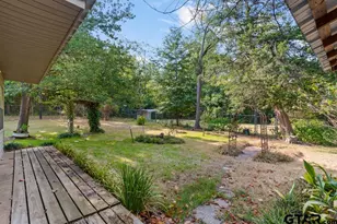 7990 E Hwy 154, Winnsboro, TX 75494 - Photo 42