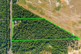 7990 E Hwy 154, Winnsboro, TX 75494 - Photo 6