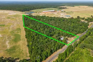 7990 E Hwy 154, Winnsboro, TX 75494 - Photo 10