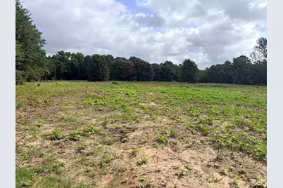 10268 N Fm 607, Brownsboro, TX 75756 - Photo 4