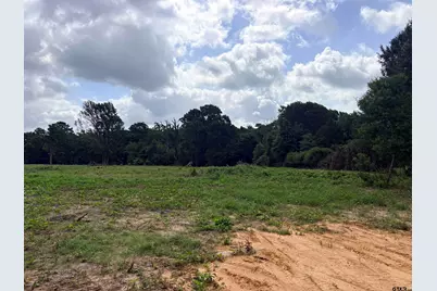 10268 N Fm 607, Brownsboro, TX 75756 - Photo 10