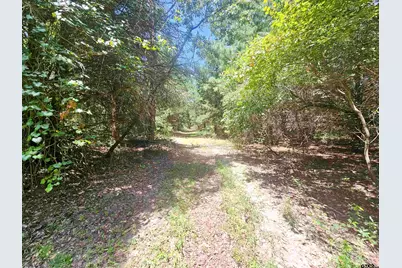 1115 County Road 3160, Quitman, TX 75783 - Photo 26