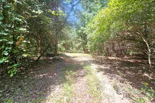1115 Co Rd 3160, Quitman, TX 75783 - Photo 26