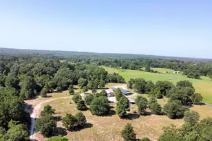 1115 Co Rd 3160, Quitman, TX 75783 - Photo 32
