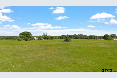 335 County Road 4802 & Hwy 110, Troup, TX 75789 - Photo 6