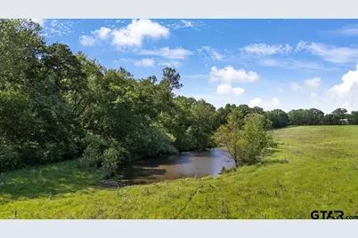 335 County Road 4802 & Hwy 110, Troup, TX 75789 - Photo 4