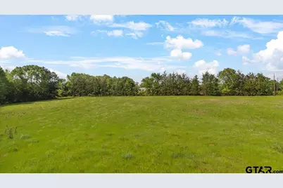 335 County Road 4802 & Hwy 110, Troup, TX 75789 - Photo 8