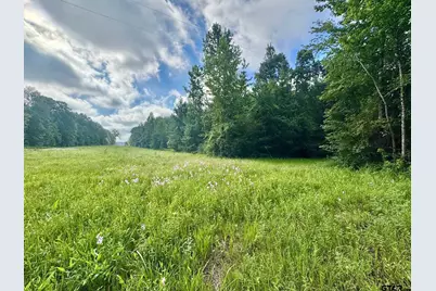 Tbd Cr 369, Winona, TX 75792 - Photo 2