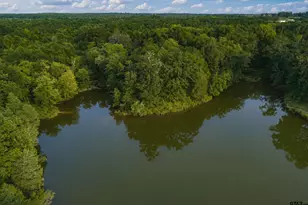 12251 Fm 16 E, Winona, TX 75792 - Photo 16