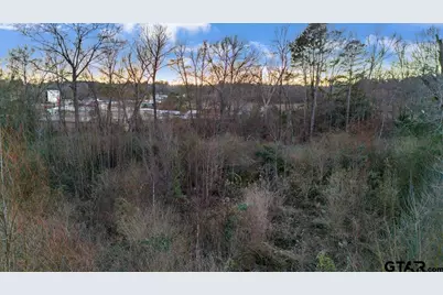 14871 Highway 110, Whitehouse, TX 75791 - Photo 12