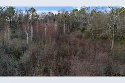 14871 Highway 110, Whitehouse, TX 75791 - Photo 14