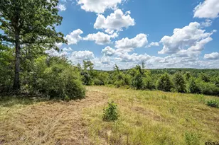 4358 E Cr 367, Henderson, TX 75654 - Photo 34