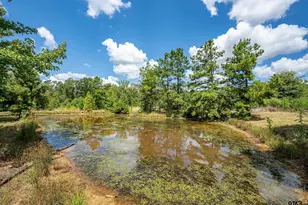 4358 E Cr 367, Henderson, TX 75654 - Photo 32