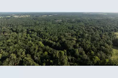 Tbd Cr 461, Laneville, TX 75667 - Photo 2