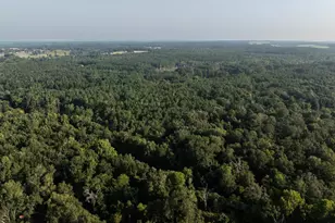 Tbd Cr 461, Laneville, TX 75667 - Photo 2