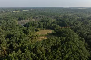 Tbd Cr 461, Laneville, TX 75667 - Photo 4