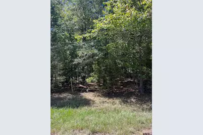 1803 Cr 4606, Troup, TX 75789 - Photo 4
