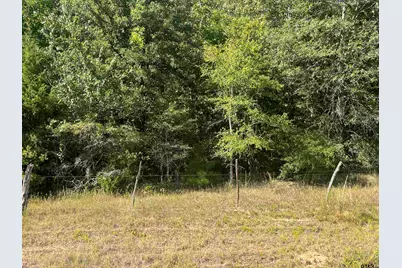 1803 Cr 4606, Troup, TX 75789 - Photo 6