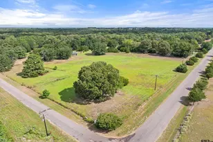 200 County Road 4253, Palestine, TX 75801 - Photo 2
