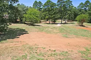 391 Co Rd 3254, Quitman, TX 75783 - Photo 42