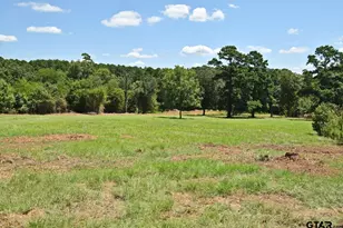 391 Co Rd 3254, Quitman, TX 75783 - Photo 38
