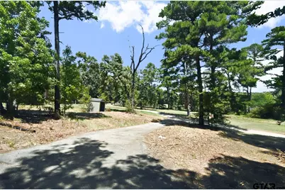 391 County Road 3254, Quitman, TX 75783 - Photo 4