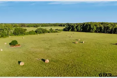 Tbd Cr 4990, Winnsboro, TX 75494 - Photo 14