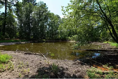 4480 Fm 2137 N, Bullard, TX 75757 - Photo 44