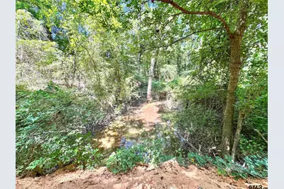 10528 Fm 344, Bullard, TX 75757 - Photo 8