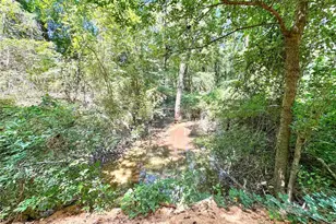 10528 FM 344, Bullard, TX 75757 - Photo 8
