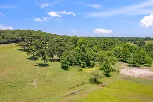 12250 Co Rd 3513, Brownsboro, TX 75756 - Photo 26