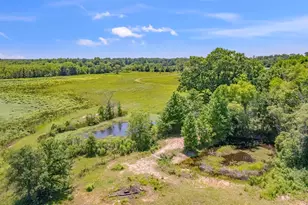 12250 Co Rd 3513, Brownsboro, TX 75756 - Photo 30