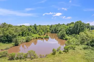 12250 Co Rd 3513, Brownsboro, TX 75756 - Photo 36