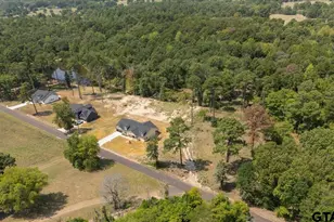 204 Co Rd 2766, Mineola, TX 75773 - Photo 48