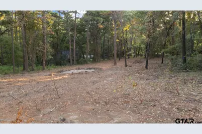 20722 Lakeview Dr., Flint, TX 75762 - Photo 1