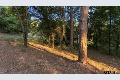 20722 Lakeview Dr., Flint, TX 75762 - Photo 4