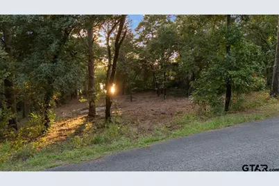 20722 Lakeview Dr., Flint, TX 75762 - Photo 2