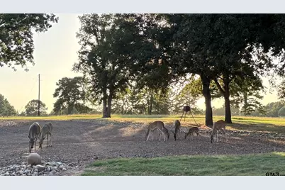 145 Private Road 7004, Frankston, TX 75763 - Photo 4