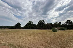 145 Private Rd 7004, Frankston, TX 75763 - Photo 12