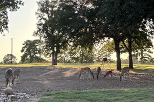 145 Private Rd 7004, Frankston, TX 75763 - Photo 26