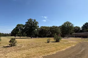 145 Private Rd 7004, Frankston, TX 75763 - Photo 22