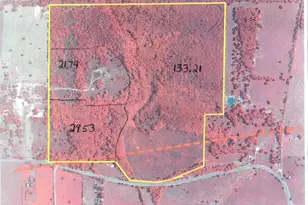 Tbd 133+/- Acres County Road 4701, Ben Wheeler, TX 75754 - Photo 1