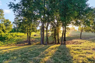 21618 Mixon Rd., Troup, TX 75789 - Photo 28