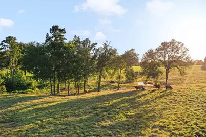 21618 Mixon Rd., Troup, TX 75789 - Photo 1
