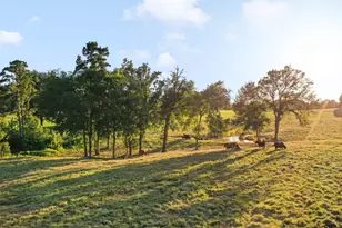 21618 Mixon Rd, Troup, TX 75789 - Photo 1