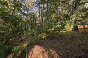 1219 Horseshoe Dr, Hideaway, TX 75771 - Photo 30
