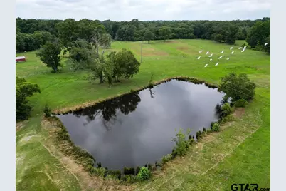 1509 County Road 3170, Quitman, TX 75783 - Photo 22
